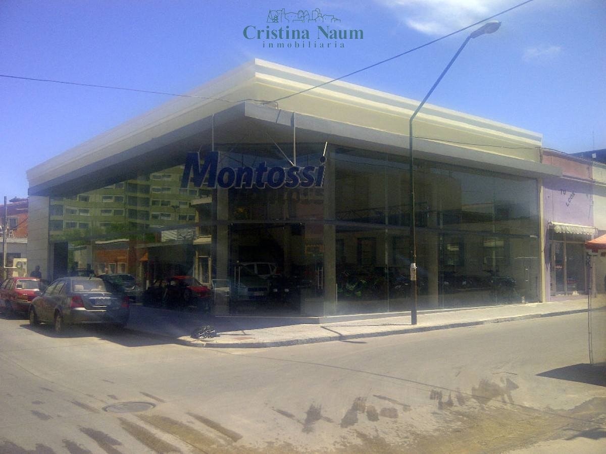 LOCAL EN MALDONADO  - CNI19278L