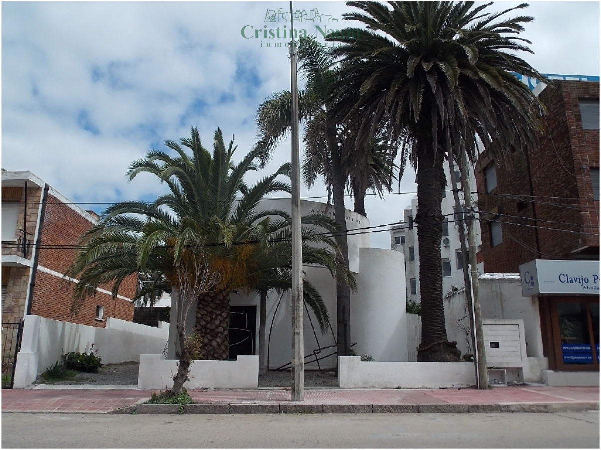 LOFT EN PENINSULA - CNI19312L