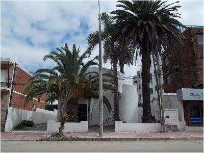 LOFT EN PENINSULA