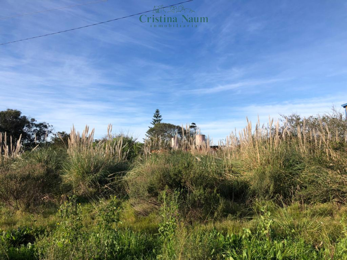 Terreno en El Chorro - CNI36523T