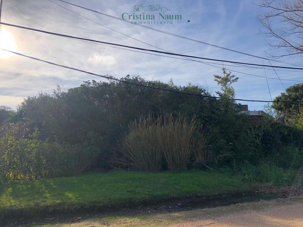 Terreno en El Chorro - CNI36520T