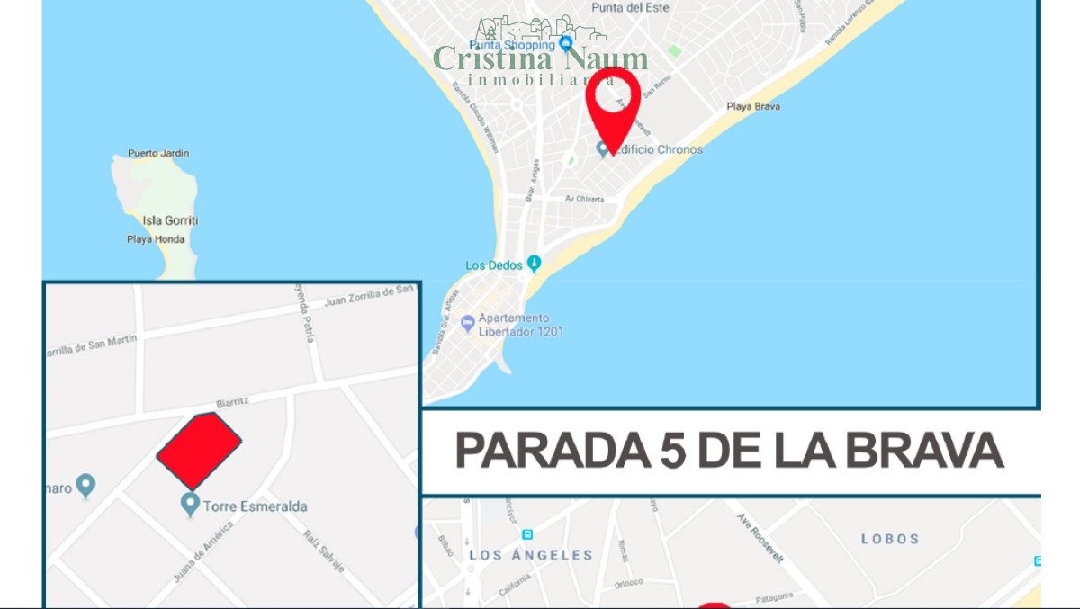  ATENCION INVERSORES BRAVA PDA 6 APTO EDIFICIO PB + 15 PISOS .- A.GRILL - CNI18865T