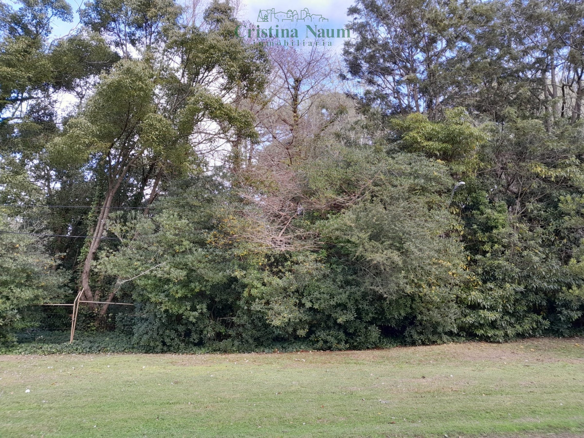 San Rafael - GoPunta - Portal Inmobiliario de Punta del Este - Maldonado