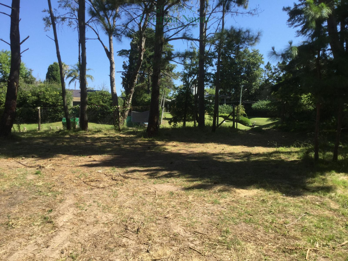 Golf - GoPunta - Portal Inmobiliario de Punta del Este - Maldonado