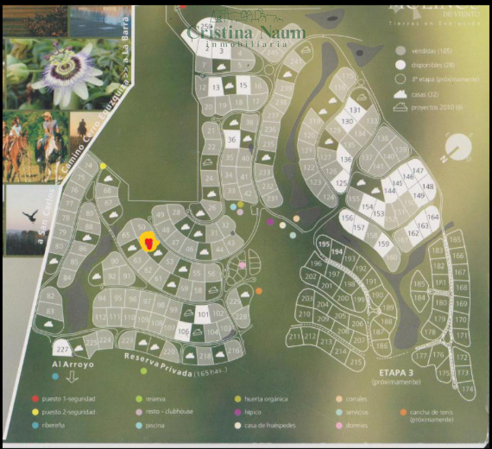 El Quijote - GoPunta - Portal Inmobiliario de Punta del Este - Maldonado