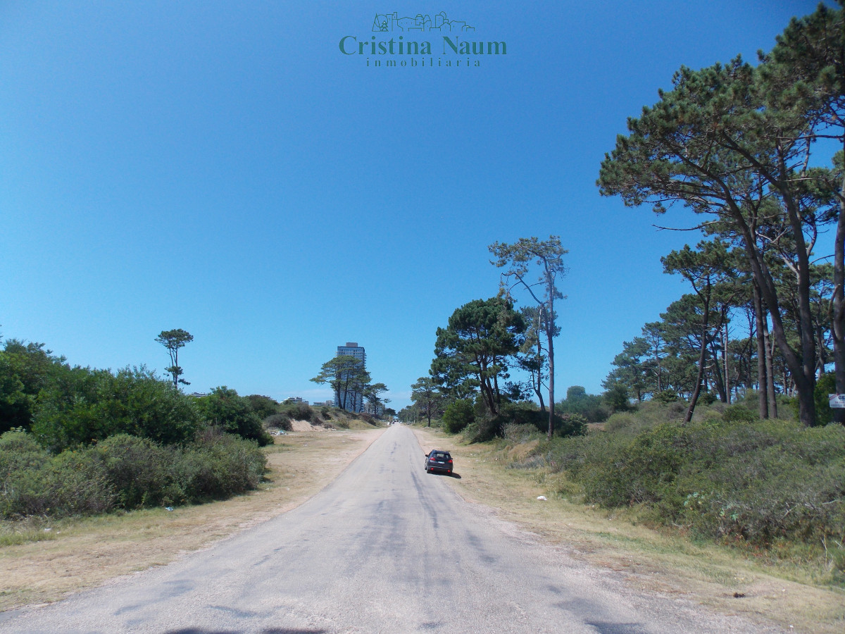Golf - GoPunta - Portal Inmobiliario de Punta del Este - Maldonado