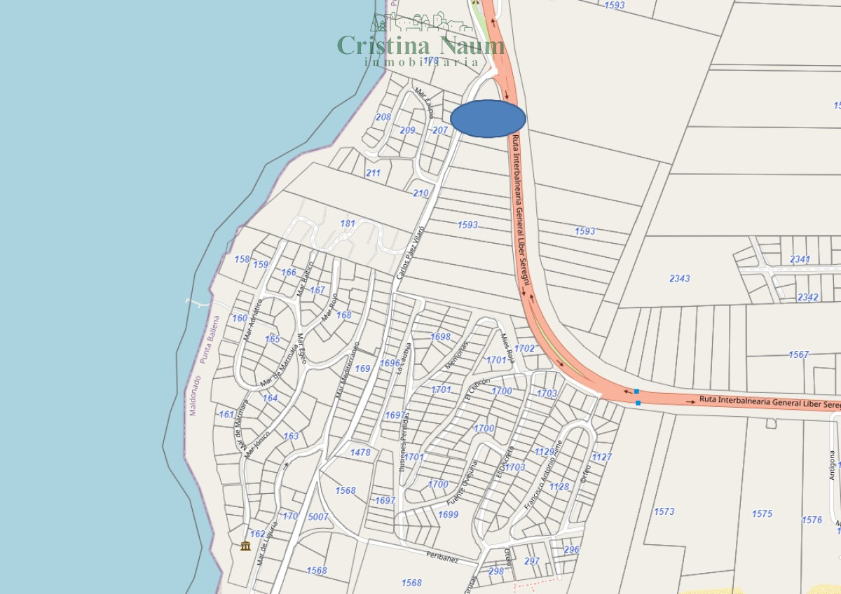 Lomo de la Ballena - GoPunta - Portal Inmobiliario de Punta del Este - Maldonado
