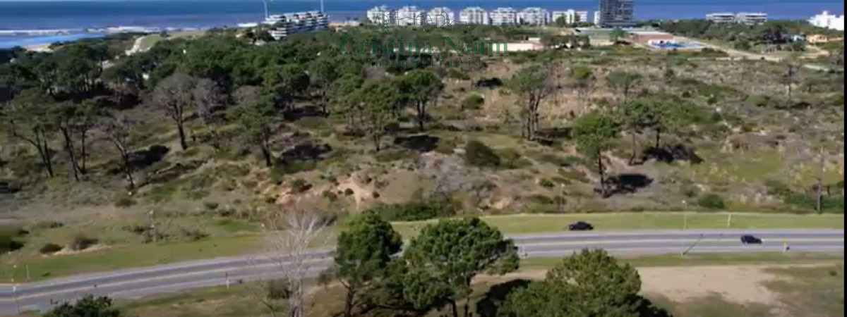 Rincón del Indio - GoPunta - Portal Inmobiliario de Punta del Este - Maldonado
