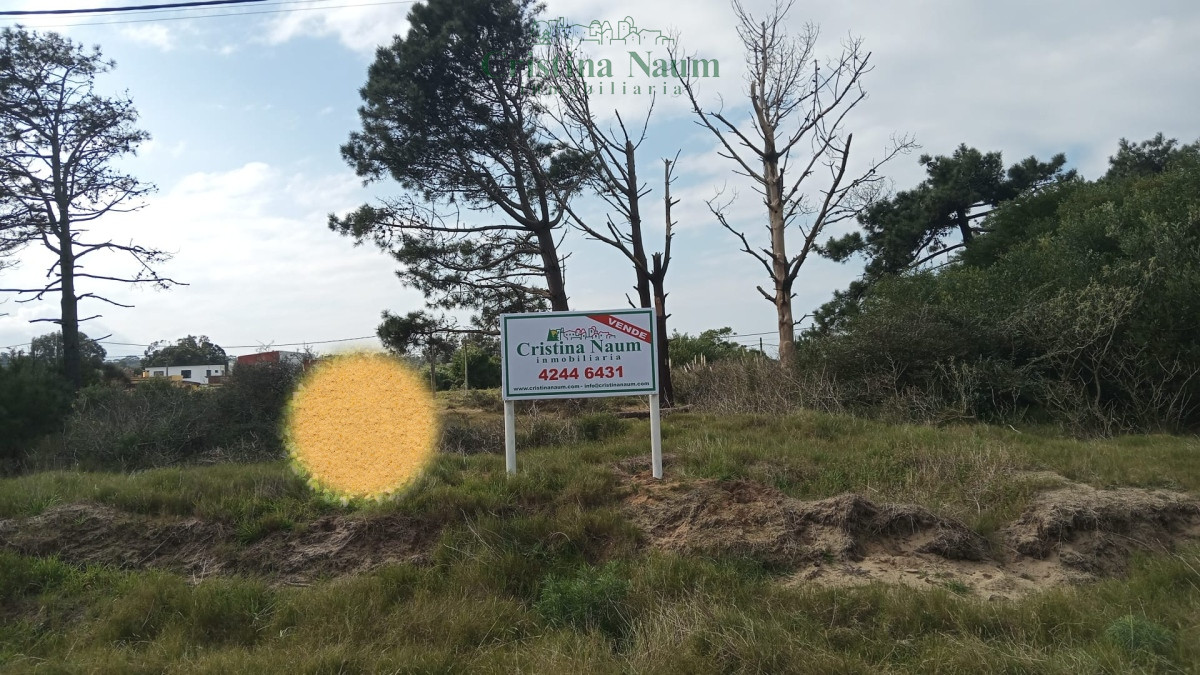 Balneario Buenos Aires - GoPunta - Portal Inmobiliario de Punta del Este - Maldonado