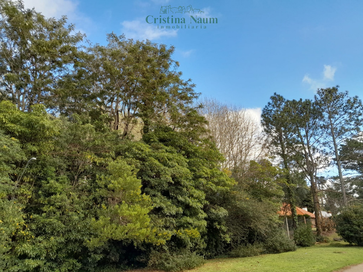 San Rafael - GoPunta - Portal Inmobiliario de Punta del Este - Maldonado