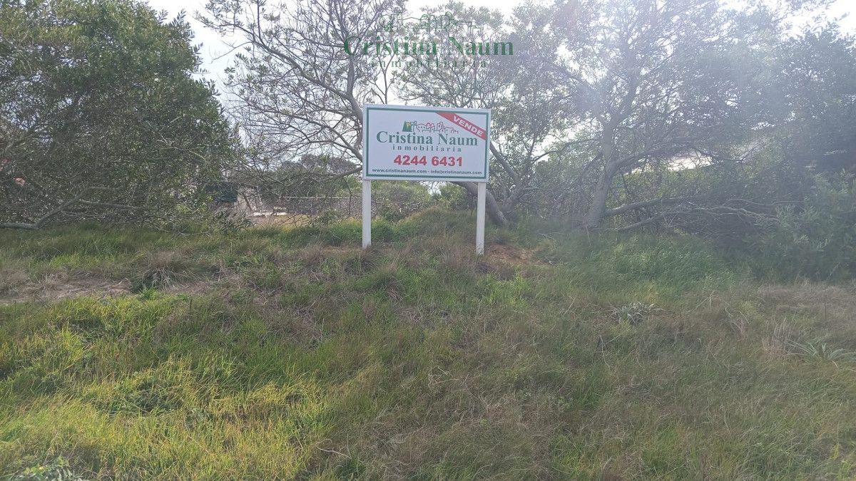 Balneario Buenos Aires - GoPunta - Portal Inmobiliario de Punta del Este - Maldonado
