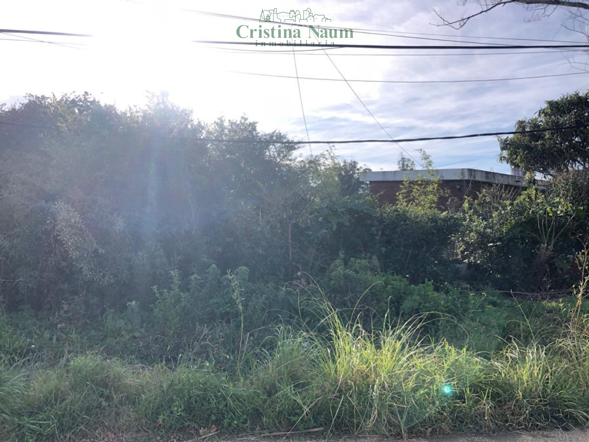 El Chorro - GoPunta - Portal Inmobiliario de Punta del Este - Maldonado