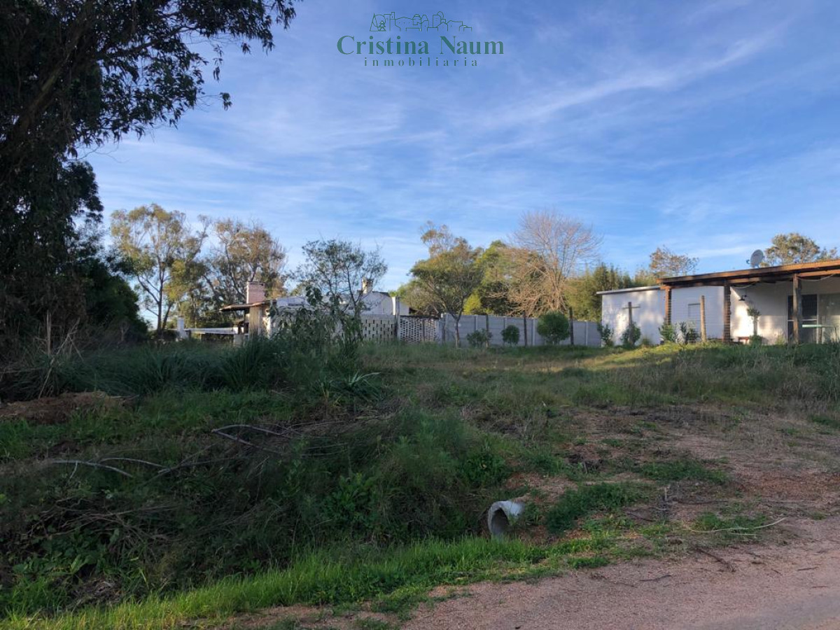 El Chorro - GoPunta - Portal Inmobiliario de Punta del Este - Maldonado