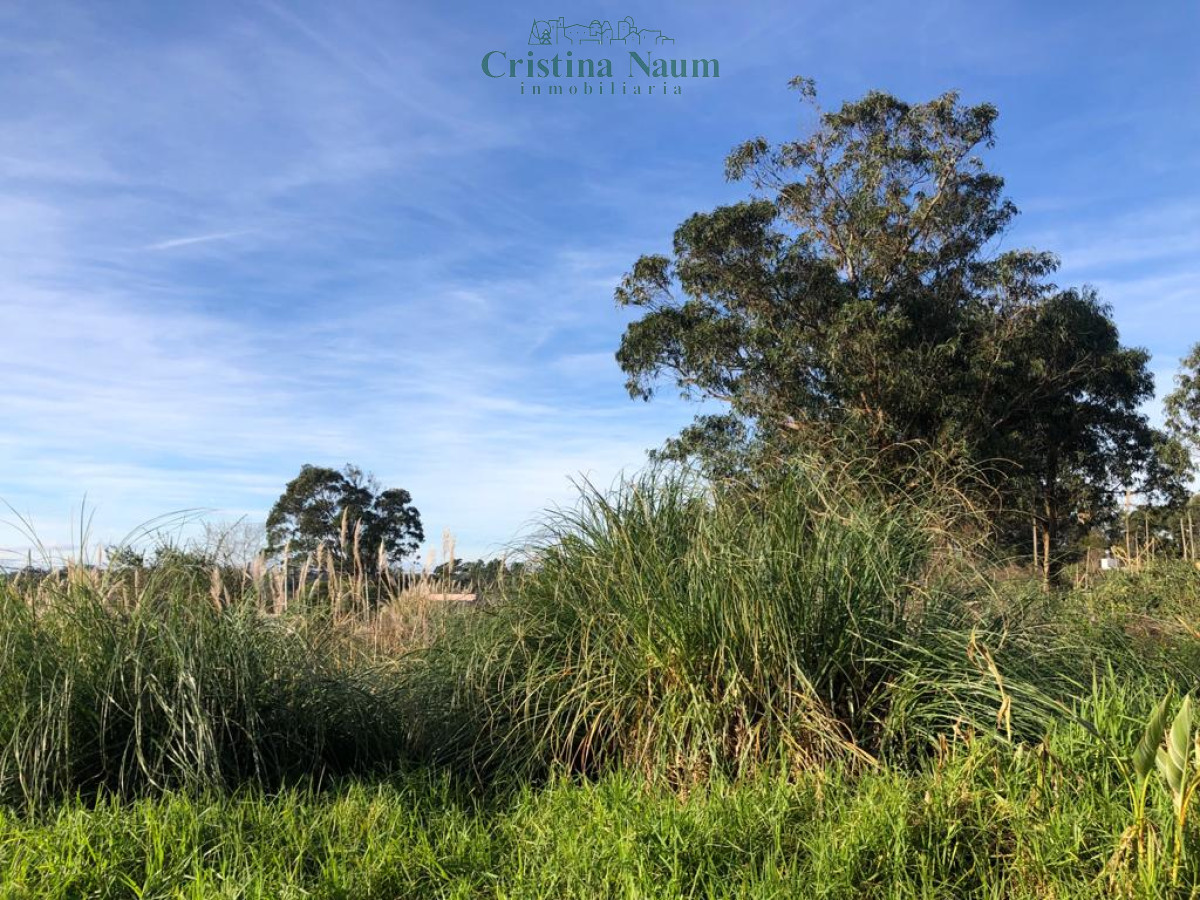 El Chorro - GoPunta - Portal Inmobiliario de Punta del Este - Maldonado