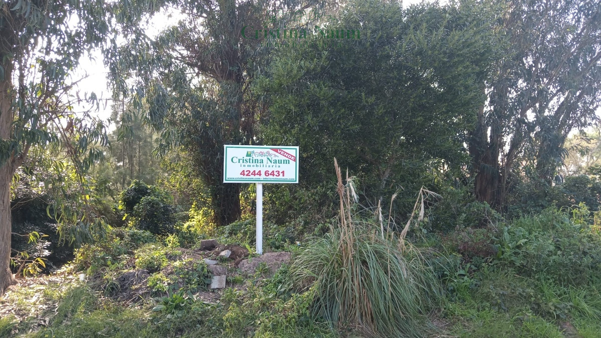 El Chorro - GoPunta - Portal Inmobiliario de Punta del Este - Maldonado