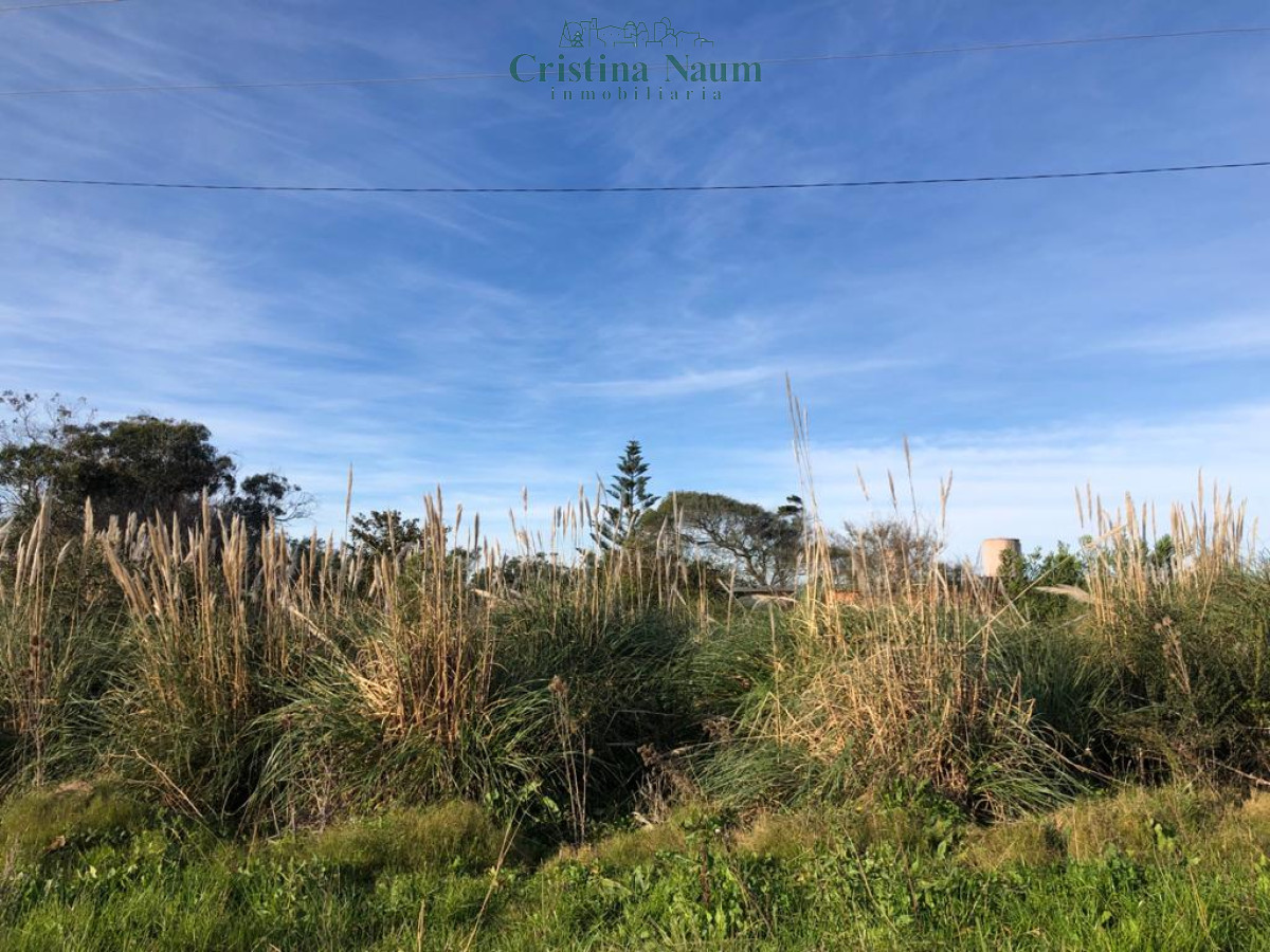 El Chorro - GoPunta - Portal Inmobiliario de Punta del Este - Maldonado
