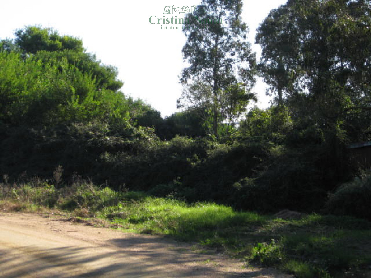 El Chorro - GoPunta - Portal Inmobiliario de Punta del Este - Maldonado