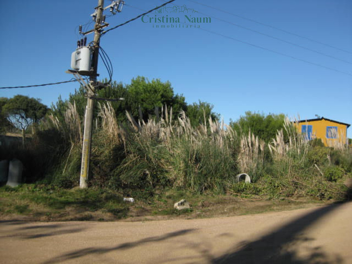 El Chorro - GoPunta - Portal Inmobiliario de Punta del Este - Maldonado