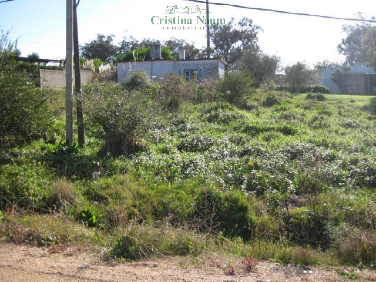 El Chorro - GoPunta - Portal Inmobiliario de Punta del Este - Maldonado