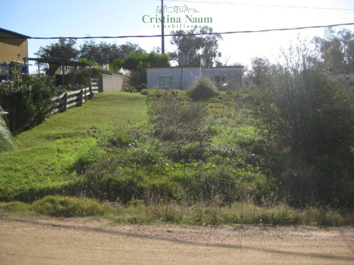 El Chorro - GoPunta - Portal Inmobiliario de Punta del Este - Maldonado