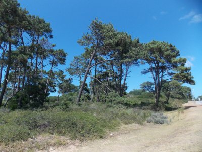 EXEPCIONAL LOTE DE 26.250m2 en R.DEL INDIO A PASOS DE LA BARRA
