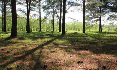 Terreno en Punta Ballena, Camino Lussich, Chacras del Pinar