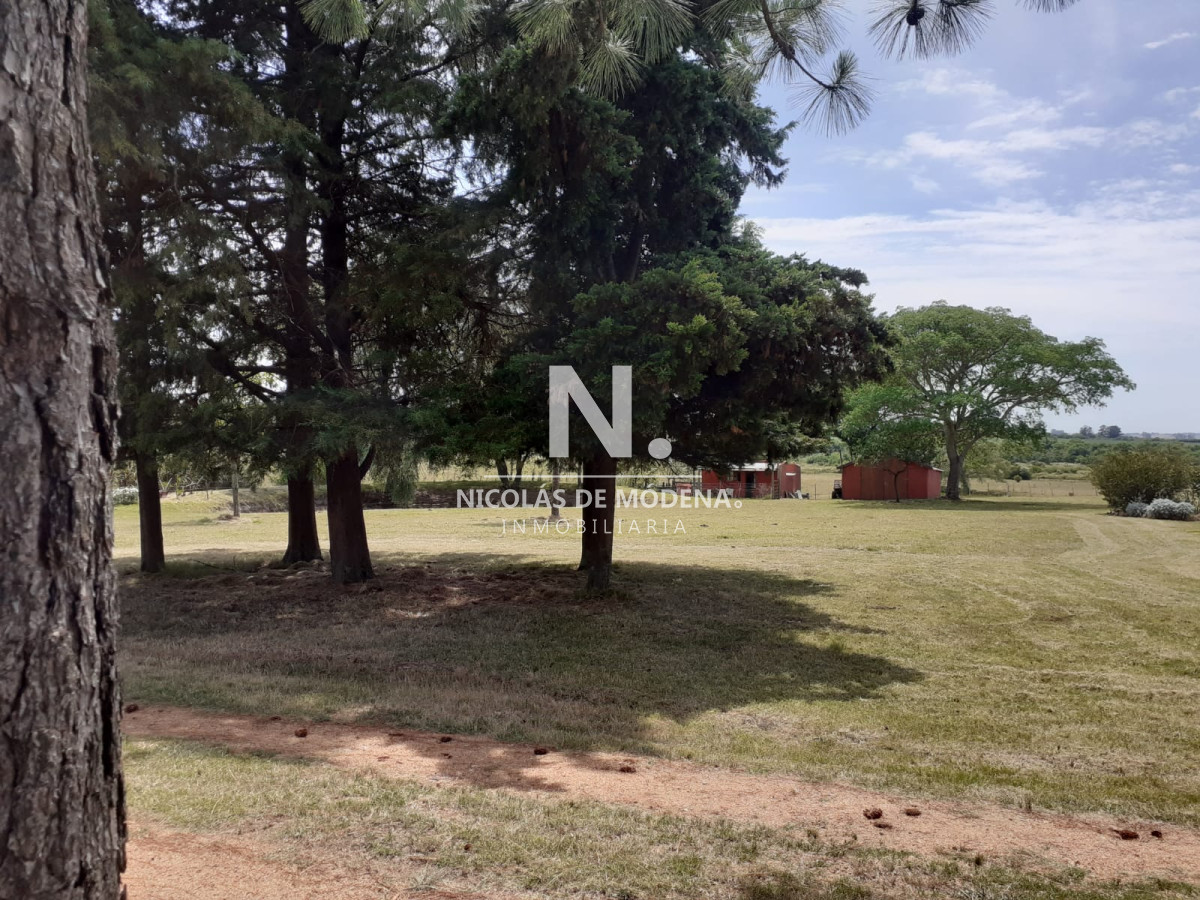 Chacra