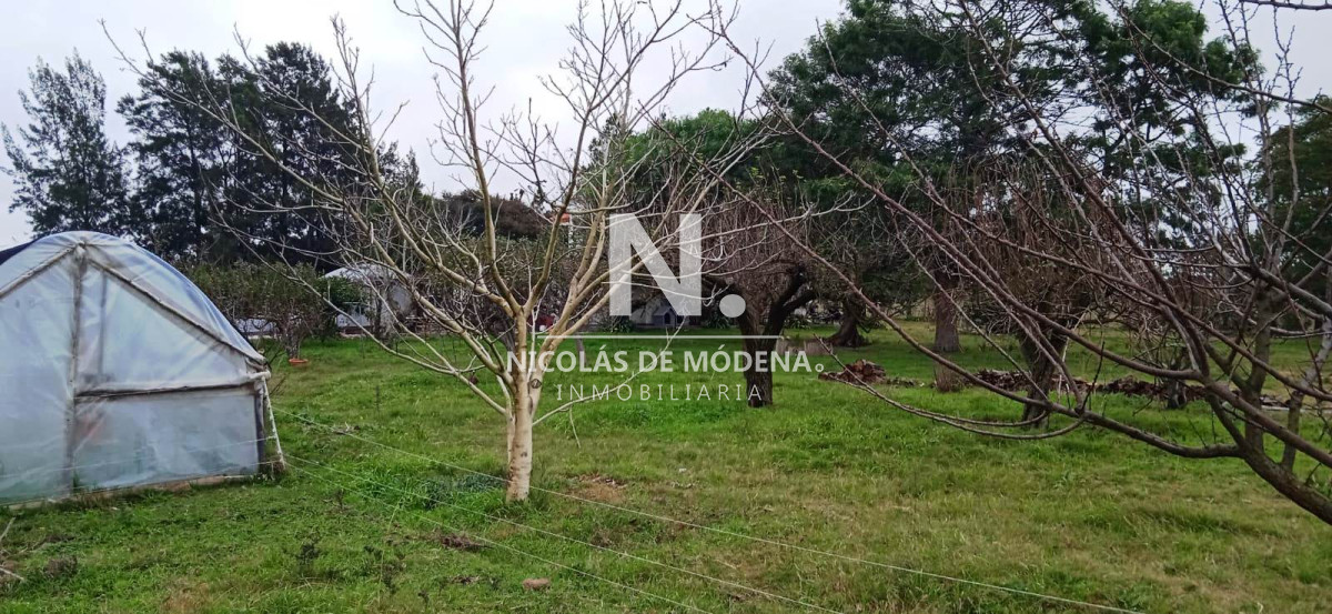 Chacra