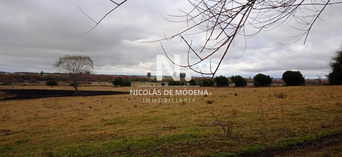 Chacra