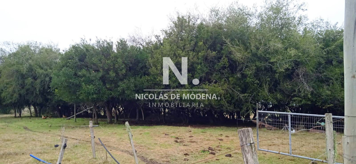 Chacra