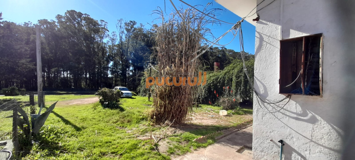 Camino Lussich - GoPunta - Portal Inmobiliario de Punta del Este - Maldonado