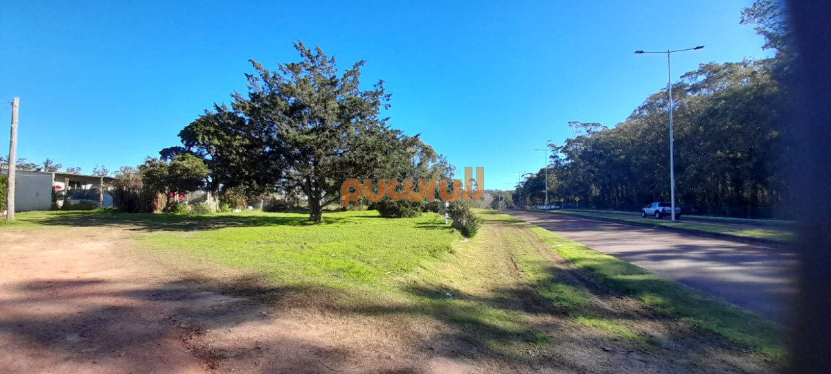 Camino Lussich - GoPunta - Portal Inmobiliario de Punta del Este - Maldonado