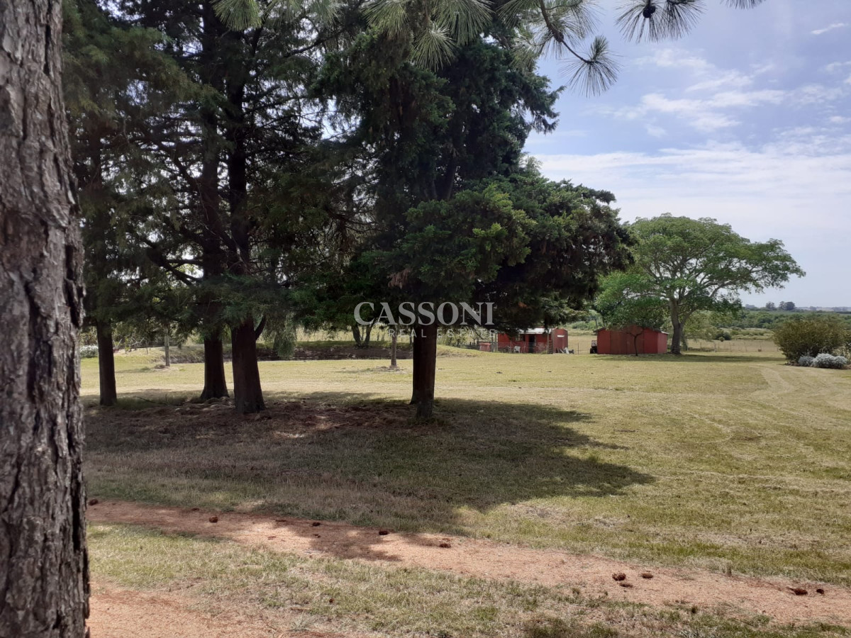 Chacra ID.3582 - Chacra a la Venta en  Uruguay  a 27 km de  Punta del Este, vivienda con piscina climatizada, huerta, frutales