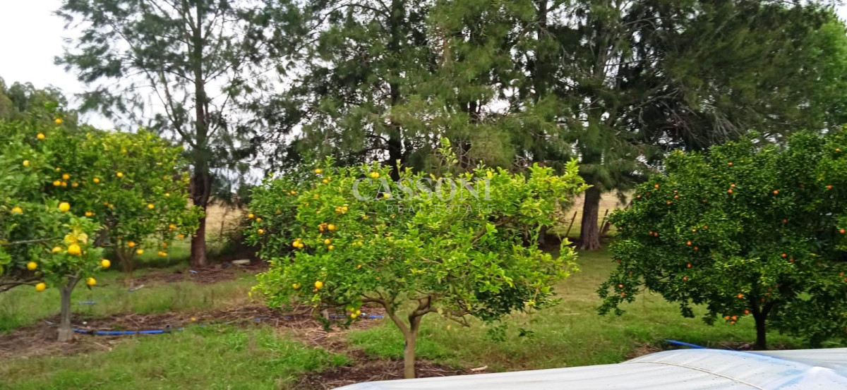 Chacra ID.3582 - Chacra a la Venta en  Uruguay  a 27 km de  Punta del Este, vivienda con piscina climatizada, huerta, frutales