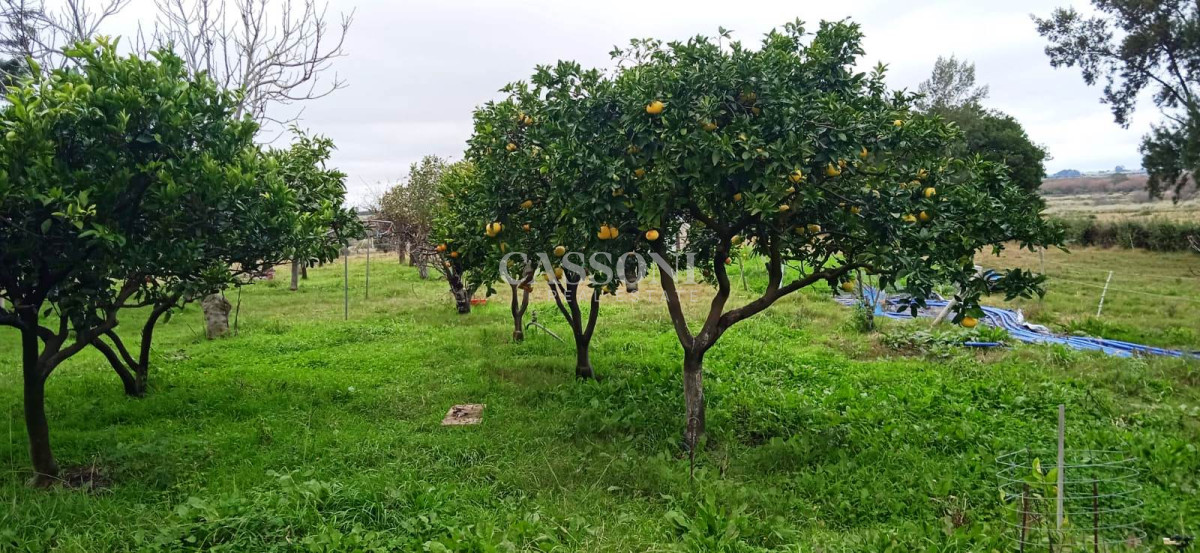Chacra ID.3582 - Chacra a la Venta en  Uruguay  a 27 km de  Punta del Este, vivienda con piscina climatizada, huerta, frutales