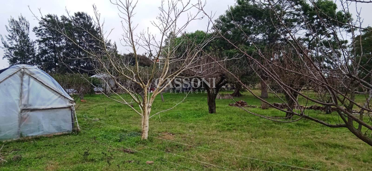 Chacra ID.3582 - Chacra a la Venta en  Uruguay  a 27 km de  Punta del Este, vivienda con piscina climatizada, huerta, frutales