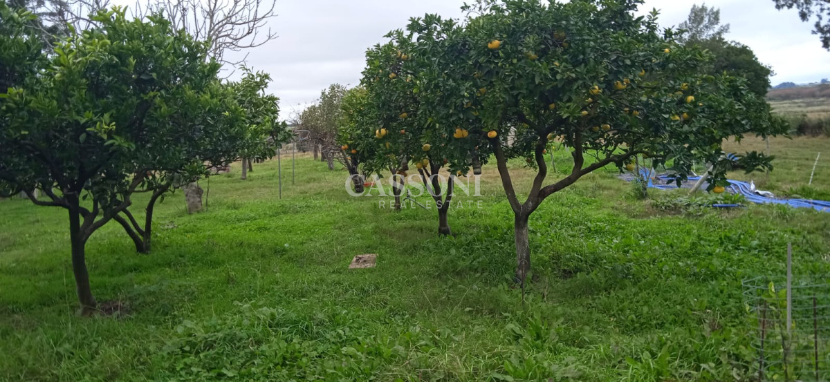 Chacra ID.3582 - Chacra a la Venta en  Uruguay  a 27 km de  Punta del Este, vivienda con piscina climatizada, huerta, frutales