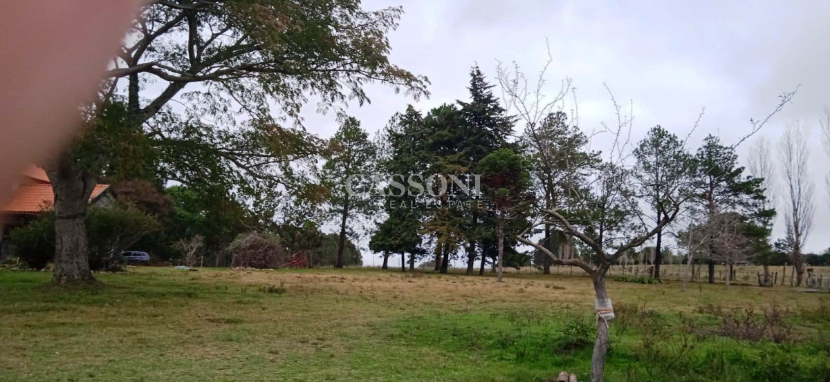 Chacra ID.3582 - Chacra a la Venta en  Uruguay  a 27 km de  Punta del Este, vivienda con piscina climatizada, huerta, frutales