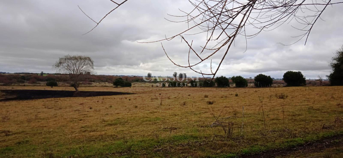 Chacra ID.3582 - Chacra a la Venta en  Uruguay  a 27 km de  Punta del Este, vivienda con piscina climatizada, huerta, frutales