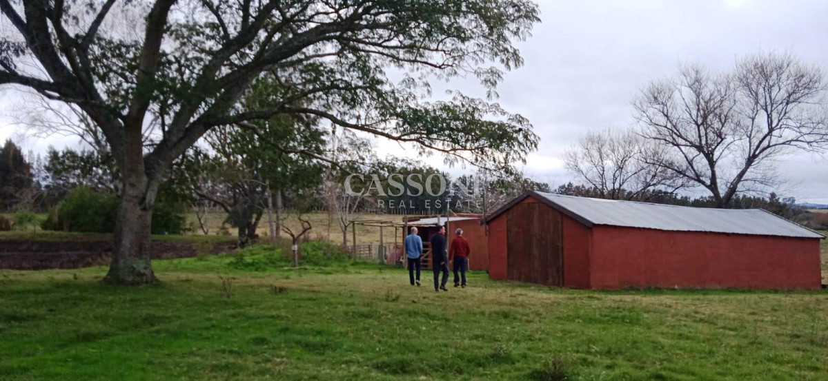 Chacra ID.3582 - Chacra a la Venta en  Uruguay  a 27 km de  Punta del Este, vivienda con piscina climatizada, huerta, frutales