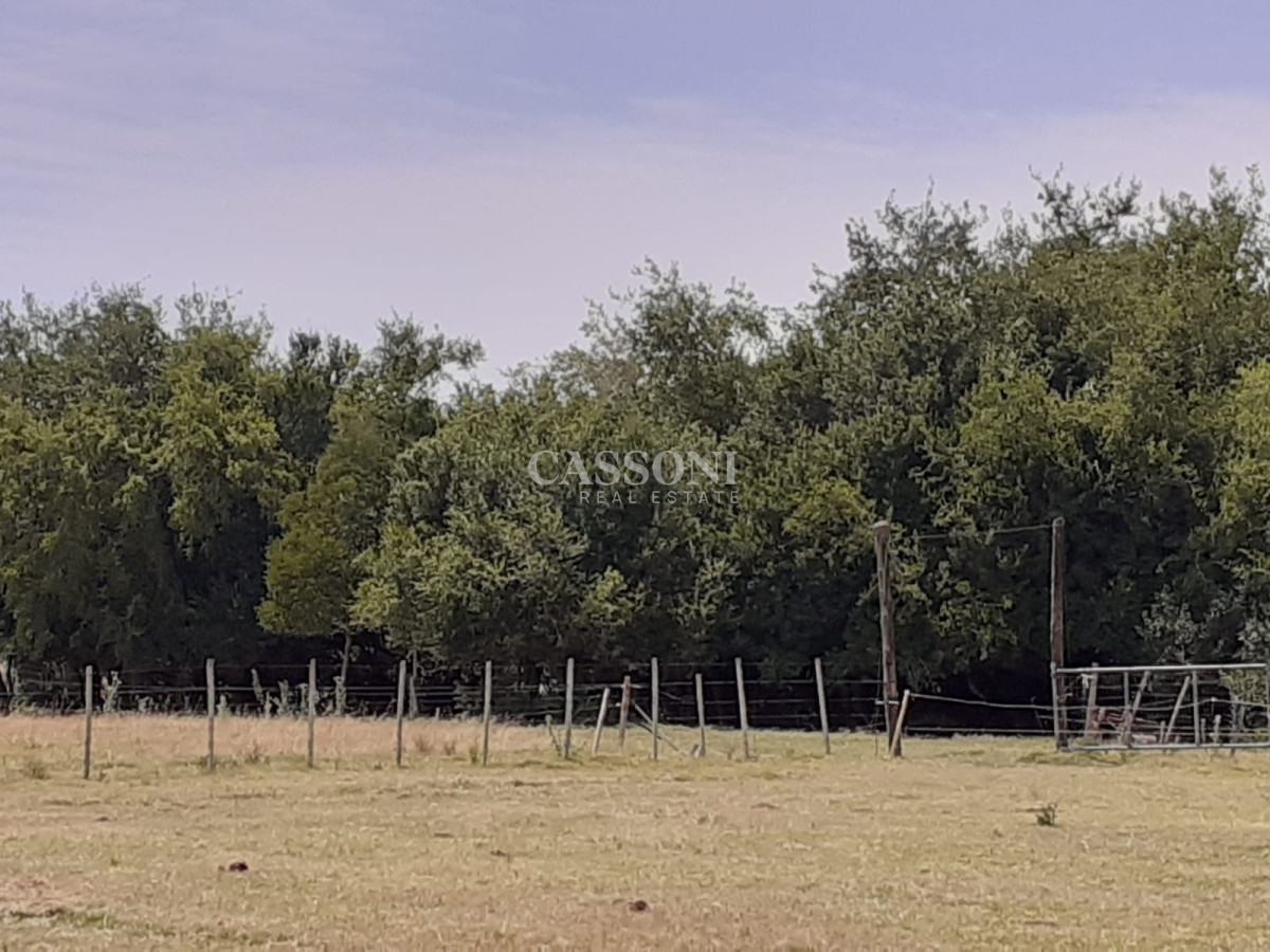 Chacra ID.3582 - Chacra a la Venta en  Uruguay  a 27 km de  Punta del Este, vivienda con piscina climatizada, huerta, frutales