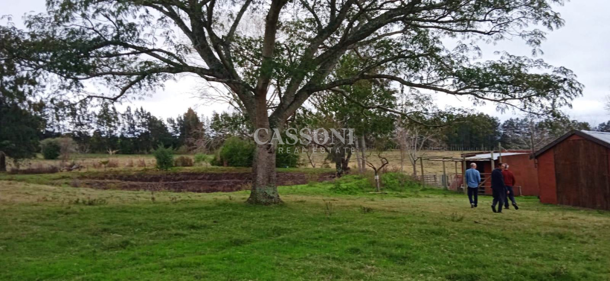 Chacra ID.3582 - Chacra a la Venta en  Uruguay  a 27 km de  Punta del Este, vivienda con piscina climatizada, huerta, frutales