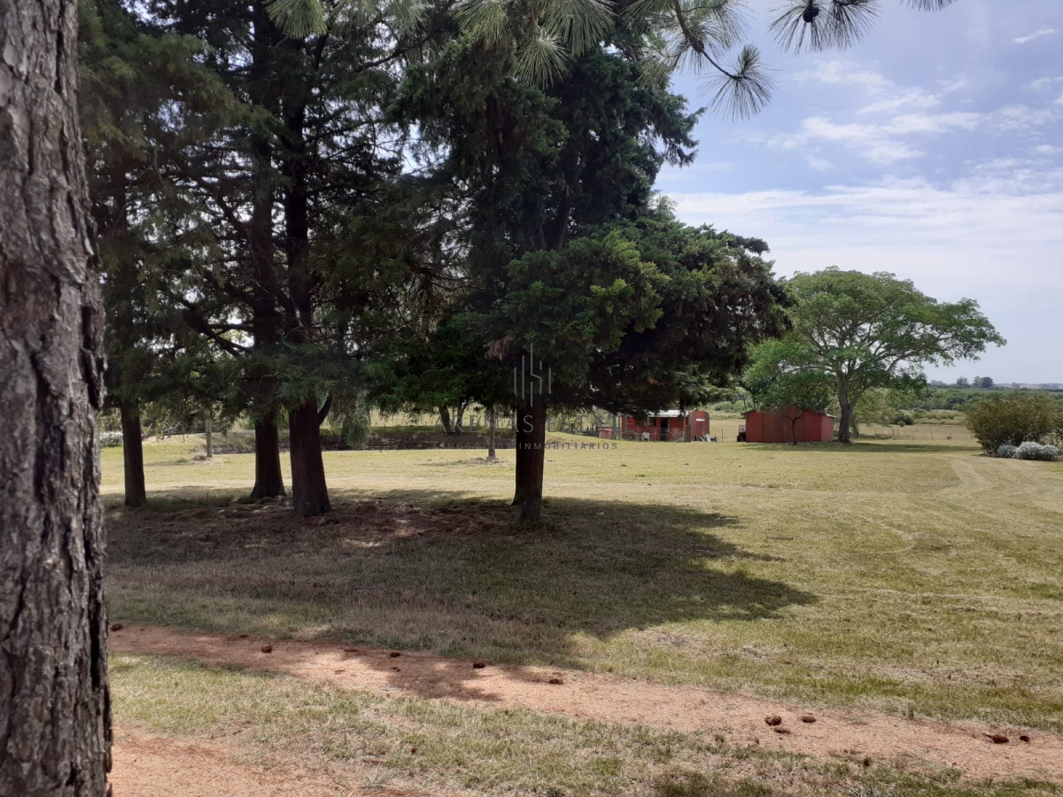 Chacra ID.1403 - Chacra a la Venta en  Uruguay  a 27 km de  Punta del Este, vivienda con piscina climatizada, huerta, frutales