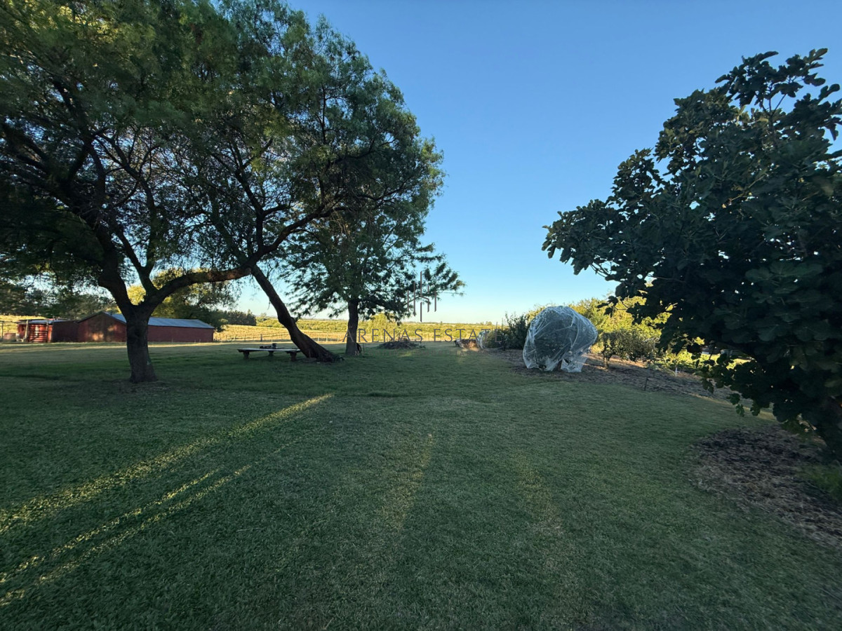 Chacra ID.1403 - Chacra a la Venta en  Uruguay  a 27 km de  Punta del Este, vivienda con piscina climatizada, huerta, frutales