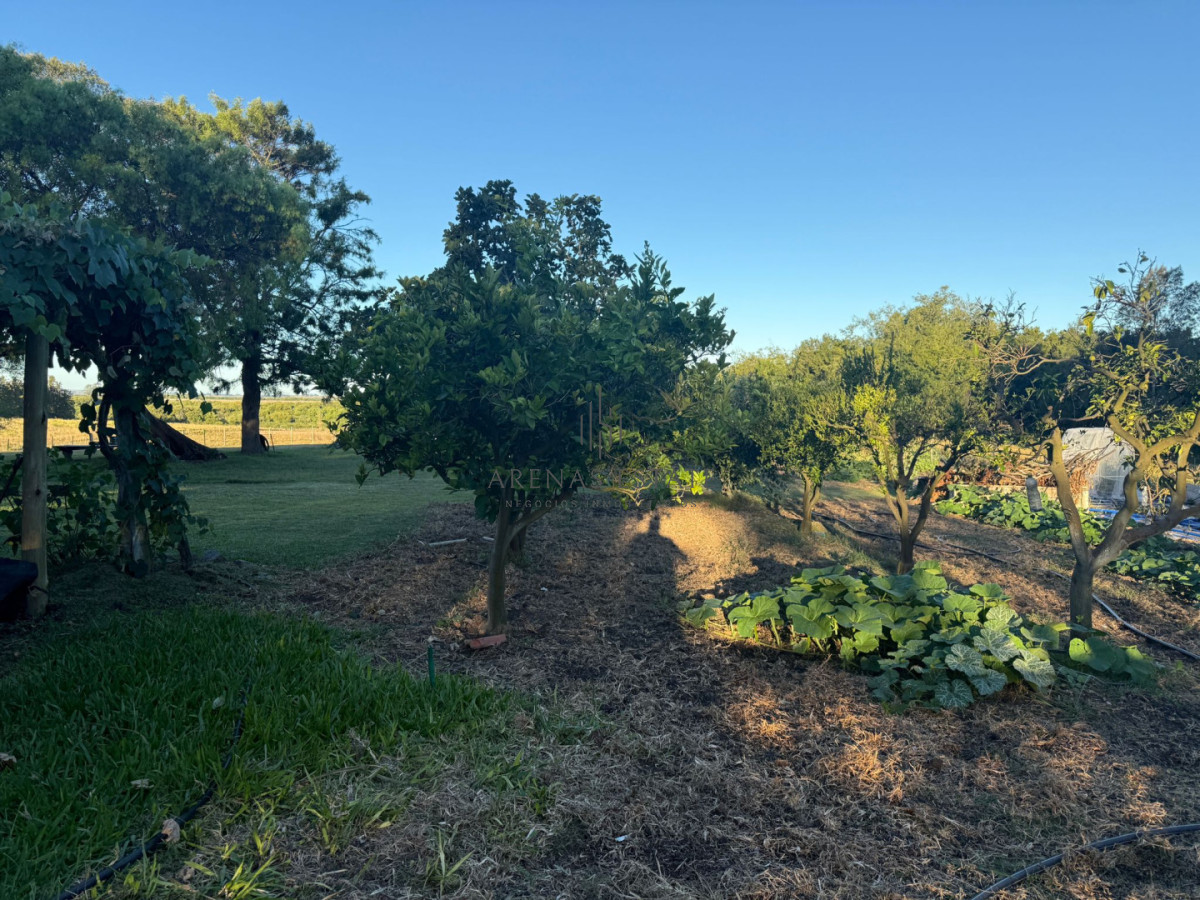 Chacra ID.1403 - Chacra a la Venta en  Uruguay  a 27 km de  Punta del Este, vivienda con piscina climatizada, huerta, frutales