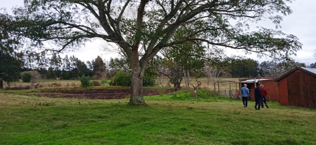 Chacra ID.1403 - Chacra a la Venta en  Uruguay  a 27 km de  Punta del Este, vivienda con piscina climatizada, huerta, frutales