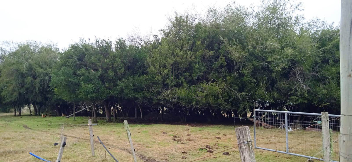 Chacra ID.1403 - Chacra a la Venta en  Uruguay  a 27 km de  Punta del Este, vivienda con piscina climatizada, huerta, frutales