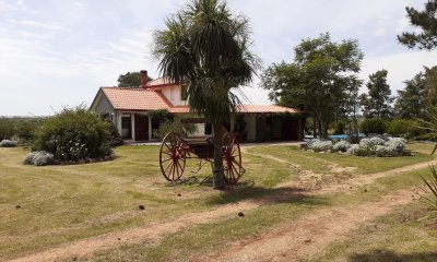 Chacra a la Venta en  Uruguay  a 27 km de  Punta del Este, vivienda con piscina climatizada, huerta, frutales