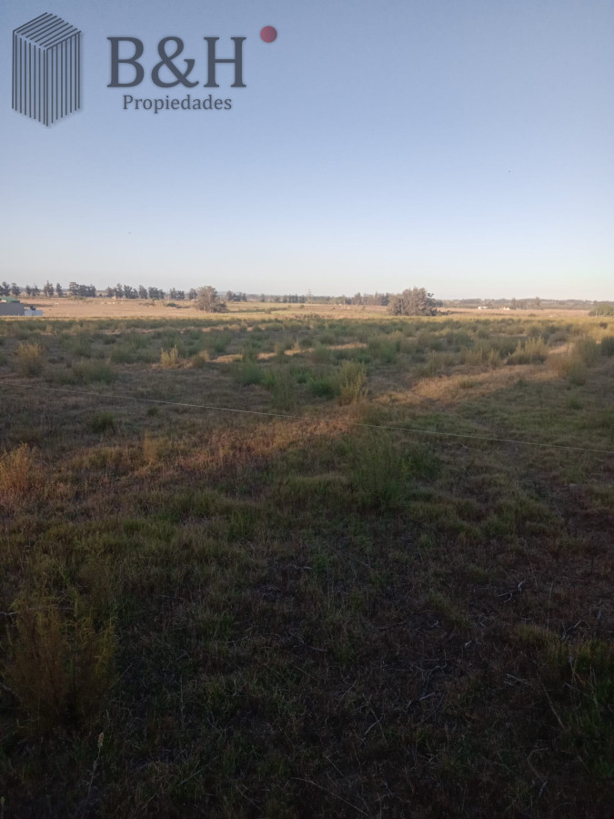 Camino de los Ceibos - GoPunta - Portal Inmobiliario de Punta del Este - Maldonado