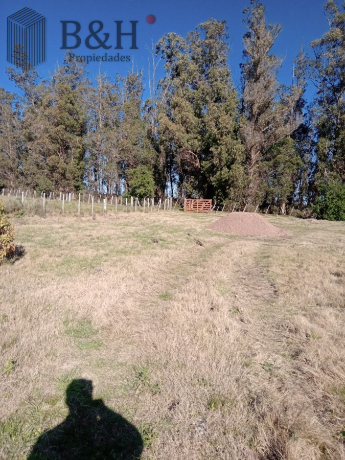 Camino de los Ceibos - GoPunta - Portal Inmobiliario de Punta del Este - Maldonado